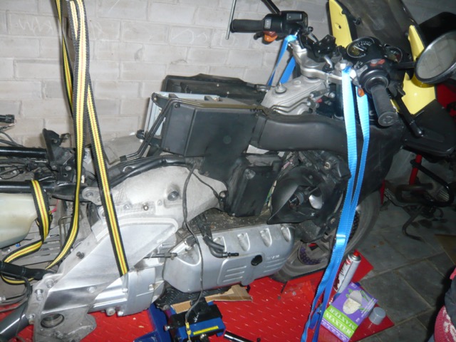 P1000697.JPG